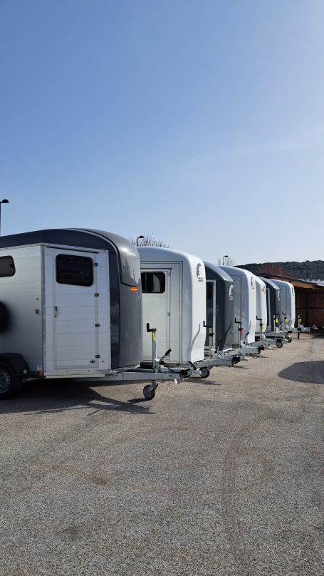 Remorque van pour chevaux robuste pour un transport équin sécurisé et confortable cheval liberté bockmann