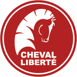 remorque van cheval cheval liberté touring country